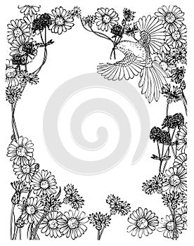 Floral round frame with bird linear black and white vector drawing. photo