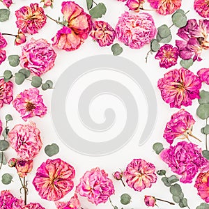 Floral round frame with pink roses and eucalyptus isolated on white background, Flat lay, Top view