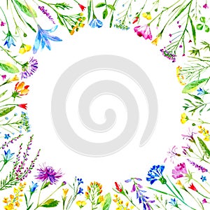 Floral round frame of a wild flowers and herbs on a white background.