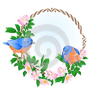 Floral round  frame with wild Roses  and cute small singing birds bluebirds vintage  festive  background vector illustration