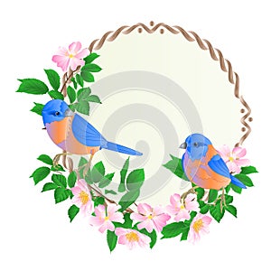 Floral round frame with wild Roses and cute small singings birds bluebirds vintage festive background vector illustration edit