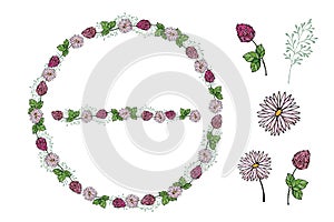 Floral round wreath with clover, daisy and cloverleaf. Vector illustration