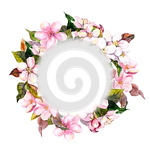 Floral round wreath - pink flowers, apple, cherry blossom for postcard. Aquarelle