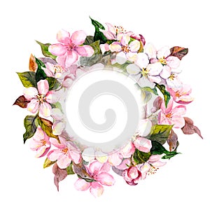 Floral round wreath with pink flowers - apple, cherry blossom for postcard. Watercolor