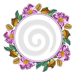 Floral Round wreath with pink wild rose, rose hip, dog rose, green and yellow leaves., hand drawn watercolor frame isolated on