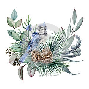 Floral rustic winter arrangement watercolor illustration. Hand drawn natural decor with blue jay bird, pine, eucalyptus leaves.