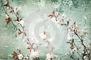 Floral scratched background