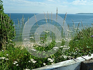 Floral Sea View in Dorset