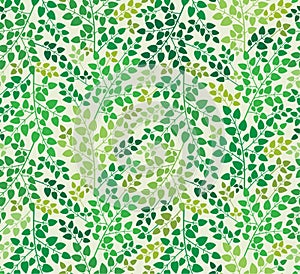 Floral seamless background