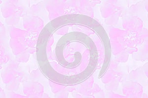 Floral seamless carnation flowers pattern. Light pink background