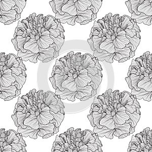 Floral seamless pattern