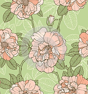 Floral Seamless Pattern