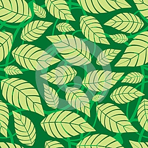 Floral seamless pattern