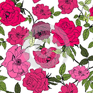 Floral seamless pattern