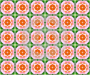 Floral seamless pattern