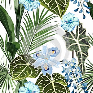 Floral seamless pattern, Alocasia plant, palm leaves and blue tropical flowers on white background.