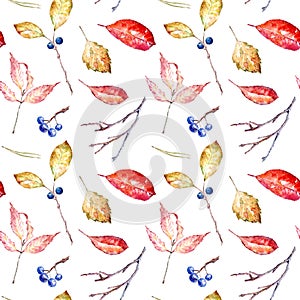 Floral seamless pattern of a autumn leaves,aronia, buckthorn .