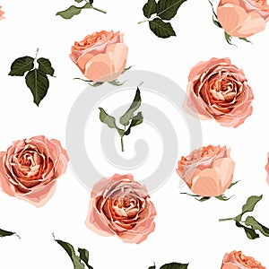 Floral seamless pattern, background design: garden peach, creamy, orange Rose, green leaves.