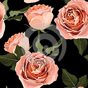 Floral seamless pattern, background design: garden peach, creamy, orange Rose, green leaves. Elegant, cute illustration.