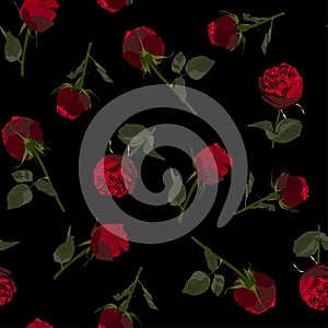 Floral seamless pattern, background design: garden red Rose, green leaves.