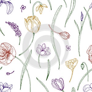 Floral seamless pattern with beautiful blooming garden flowers drawn with colored contour lines on white background