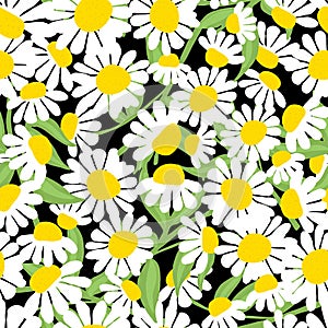 Floral seamless pattern with beautiful flowers, hand-drawing. Vector illustration