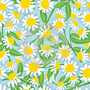 Floral seamless pattern with beautiful flowers, hand-drawing. Vector illustration