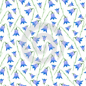 Floral seamless pattern with bell flower.