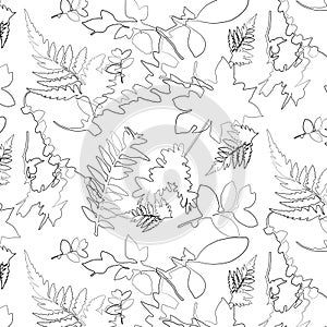 Floral seamless pattern, black and white. Contour, pattern.