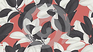 Floral seamless pattern, black and white Ficus Elastica / rubber plant on red