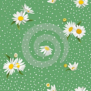 Floral Seamless Pattern with Blossom Daisy Flowers. Fabric Nature Spring Background with Chamomile for Textile, Wallpaper Wrapping