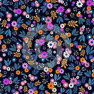 Floral seamless pattern. Bright daisies on dark blue background.