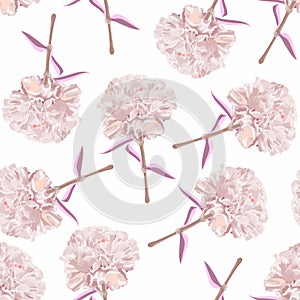 Floral seamless pattern with carnation, clove abstract pank flowers, leaves on white background.