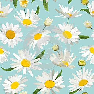 Floral Seamless Pattern with Chamomile Flowers. Natural Background with Daisy Flowers for Spring Summer Design Wallpaper