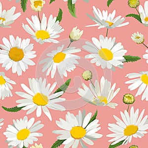 Floral Seamless Pattern with Chamomile Flowers. Natural Background with Daisy Flowers for Spring Summer Design Wallpaper