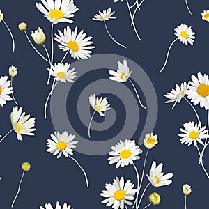 Floral Seamless Pattern with Chamomile Flowers. Natural Background with Daisy Flowers for Spring Summer Design Wallpaper