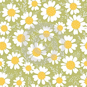 Floral seamless pattern with chamomile and leaves on green background. Spring summer floral print