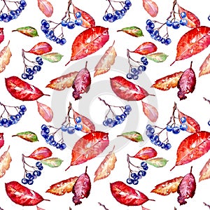 Floral seamless pattern of a chokeberry and autumn leaves .