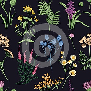 Floral seamless pattern with colorful forest herbs, herbaceous plants and blooming wild flowers on black background