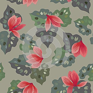 Floral seamless pattern with cyclamen flowers