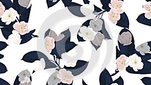 Floral seamless pattern, dark blue Ficus Elastica / rubber plant and pink anemone flowers on white