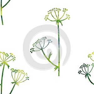 Floral seamless pattern with dill plant