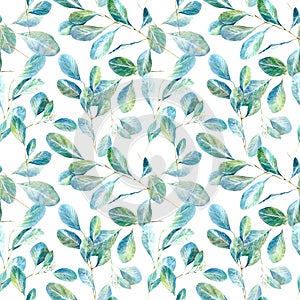 Floral seamless pattern.Eucalyptus branches.Image for fabric, paper and other printing and web projects. photo