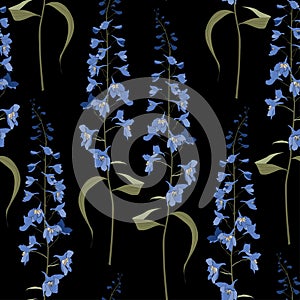 Floral seamless pattern. Flower background. Floral seamless texture with flowers delphinium on black background.