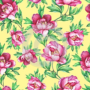 Floral seamless pattern with flowering pink peonies, on primrose yellow background. Elegance watercolor hand drawn painting illu