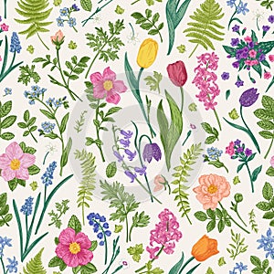 Floral seamless pattern with garden and meadow flowers and herbs. photo