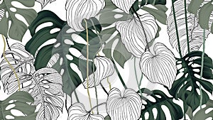Floral seamless pattern, green, black and white split-leaf Philodendron plant with vines on white background, pastel vintage photo
