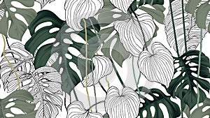 Floral seamless pattern, green, black and white split-leaf Philodendron plant with vines on white background, pastel vintage