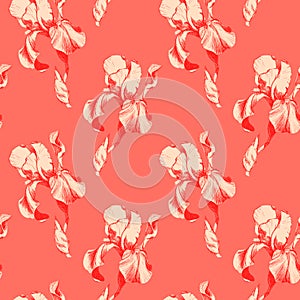 Floral seamless pattern with hand drawn red ink iris flowers on coral living background. Flowers lined up in harmonious