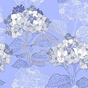 Floral seamless pattern with hydrangea flowers